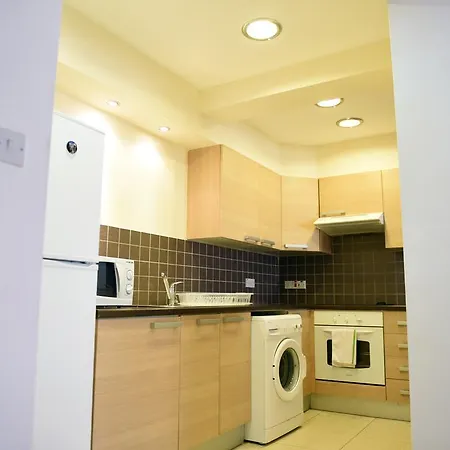 Penthouse Close To Everything דירה בורוקליני